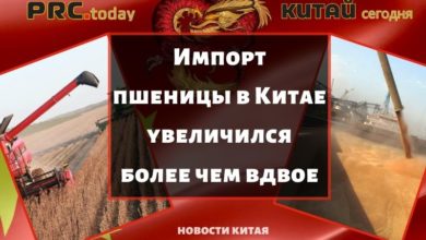 Импорт пшеницы
