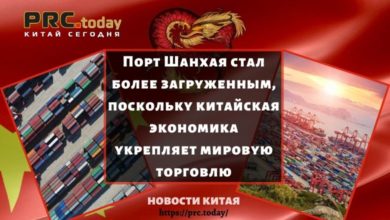 Порт Шанхая