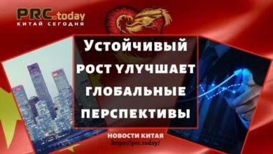 Устойчивый рост