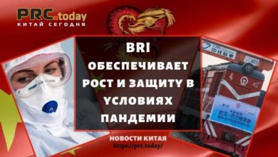 BRI обеспечивает рост и защиту в условиях пандемии