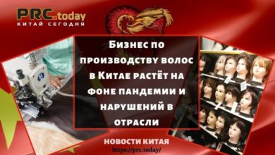 Бизнес по производству волос в Китае растёт на фоне пандемии и нарушений в отрасли