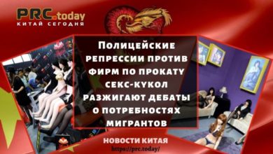 Полицейские репрессии против фирм по прокату секс-кукол разжигают дебаты о потребностях мигрантов