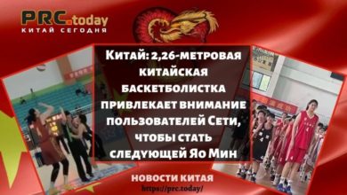 Китай: 2,26-метровая китайская баскетболистка привлекает внимание пользователей Сети, чтобы стать следующей Яо Мин