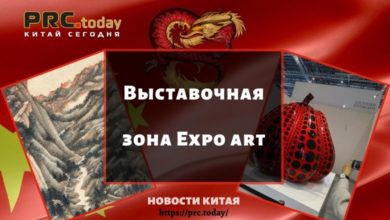Выставочная зона Expo art