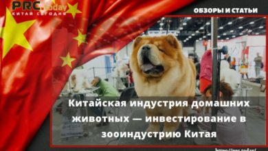 Китайская индустрия домашних животных — инвестирование в зооиндустрию Китая