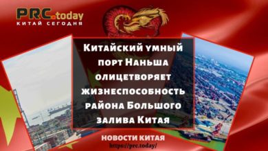 Китайский умный порт Наньша олицетворяет жизнеспособность района Большого залива Китая