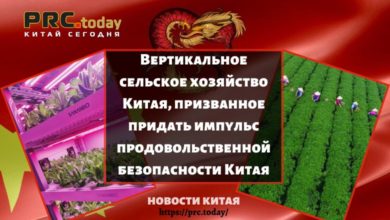 Вертикальное сельское хозяйство Китая, призванное придать импульс продовольственной безопасности Китая