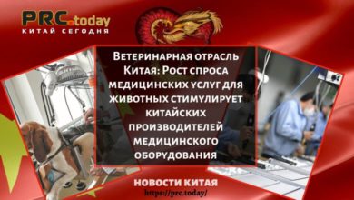 Ветеринарная отрасль Китая: Рост спроса медицинских услуг для животных стимулирует китайских производителей медицинского оборудования