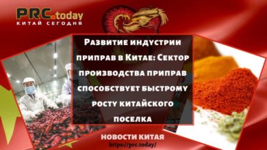 Развитие индустрии приправ в Китае: Сектор производства приправ способствует быстрому росту китайского поселка