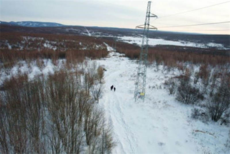 Китайская компания State Grid