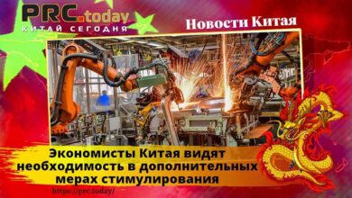 Экономисты Китая