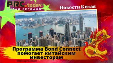 Программа Bond Connect