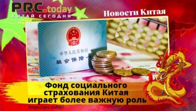 Фонд социального страхования Китая