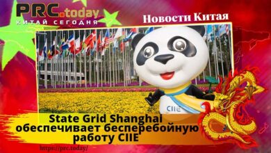 Компания State Grid Shanghai
