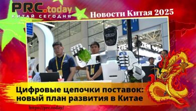 Цифровые цепочки поставок