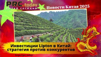 Инвестиции Lipton