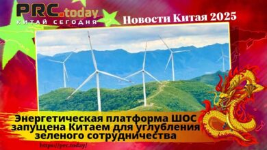 Энергетическая платформа ШОС