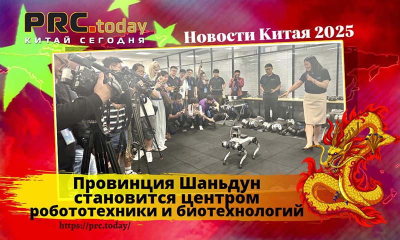 Провинция Шаньдун