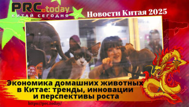 Экономика домашних животных