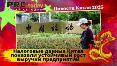 Налоговые данные