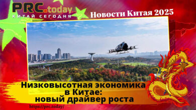 Низковысотная экономика