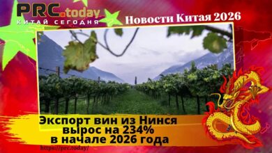 Экспорт вин