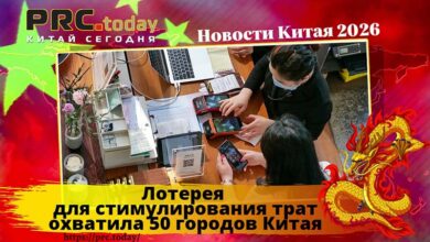 Лотерея
