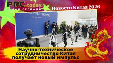 Научно-техническое сотрудничество