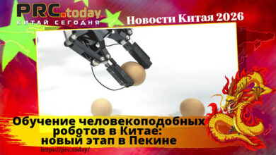 Обучение человекоподобных роботов