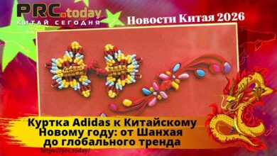 Куртка Adidas