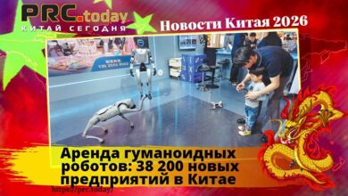 Аренда гуманоидных роботов