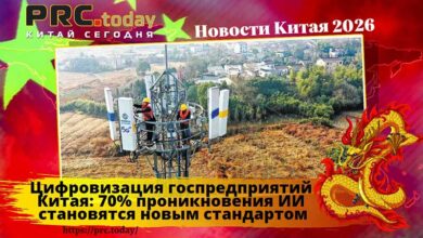 Цифровизация госпредприятий Китая