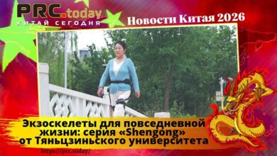 Экзоскелеты