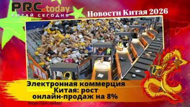 Электронная коммерция Китая