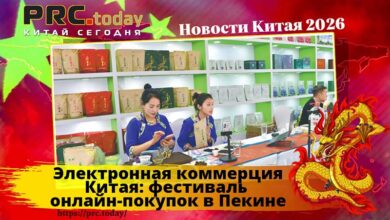 Электронная коммерция Китая