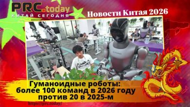 Гуманоидные роботы