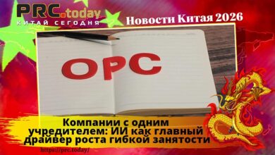 Компании с одним учредителем