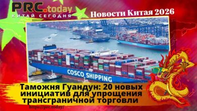 Таможня Гуандун
