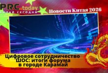 Цифровое сотрудничество ШОС