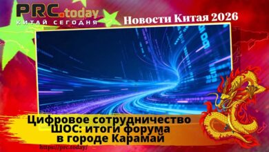 Цифровое сотрудничество ШОС