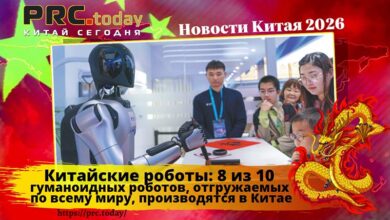 Китайские роботы