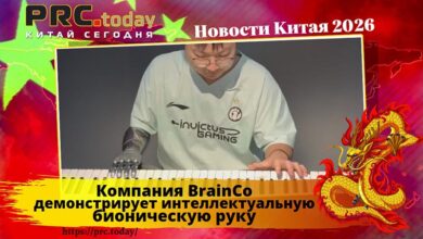 Компания BrainCo