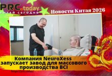 Компания NeuroXess