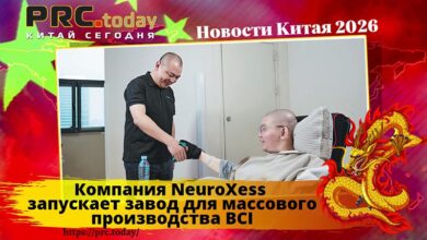 Компания NeuroXess