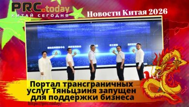 Портал трансграничных услуг