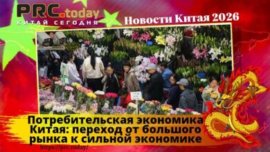 Потребительская экономика Китая