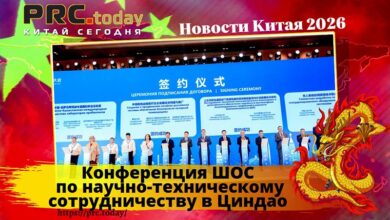Конференция ШОС