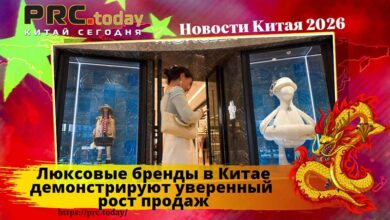 Люксовые бренды