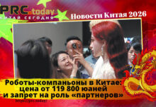 Роботы-компаньоны