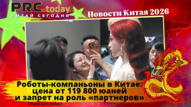 Роботы-компаньоны
